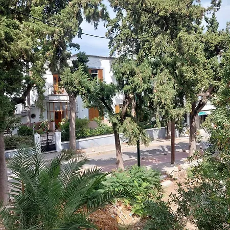 Daire Center First Floor *
