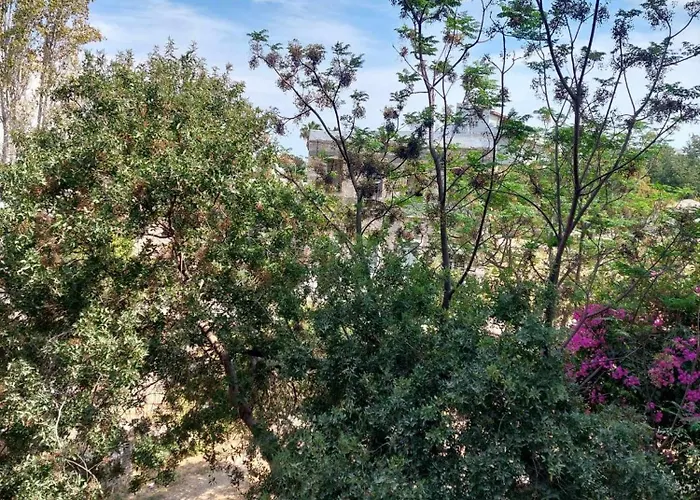 Center First Floor Daire *