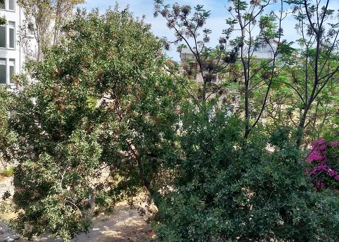 Daire Center First Floor *