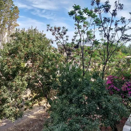 Center First Floor Apartman *